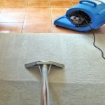 Best_Carpet_Cleaning_Sydney
