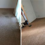 Same-Day-Carpet-Cleaning-Sydney-5