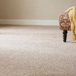 Sensational-Carpet-Cleaning-Sydney-dry-