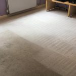kangaroo-cleaning-services-carpet-cleaning-sydney_3