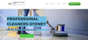 professional cleaners sydney