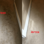 Carpet-Steam-Cleaning-Before-After-Steam-Cleaning-Sydney