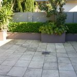 sydney-city-brick-and-high-pressure-cleaning-caringbah-cleaning-before-cleaning-with-our-high-pressure-rotary-cleaner-6acd-300x0